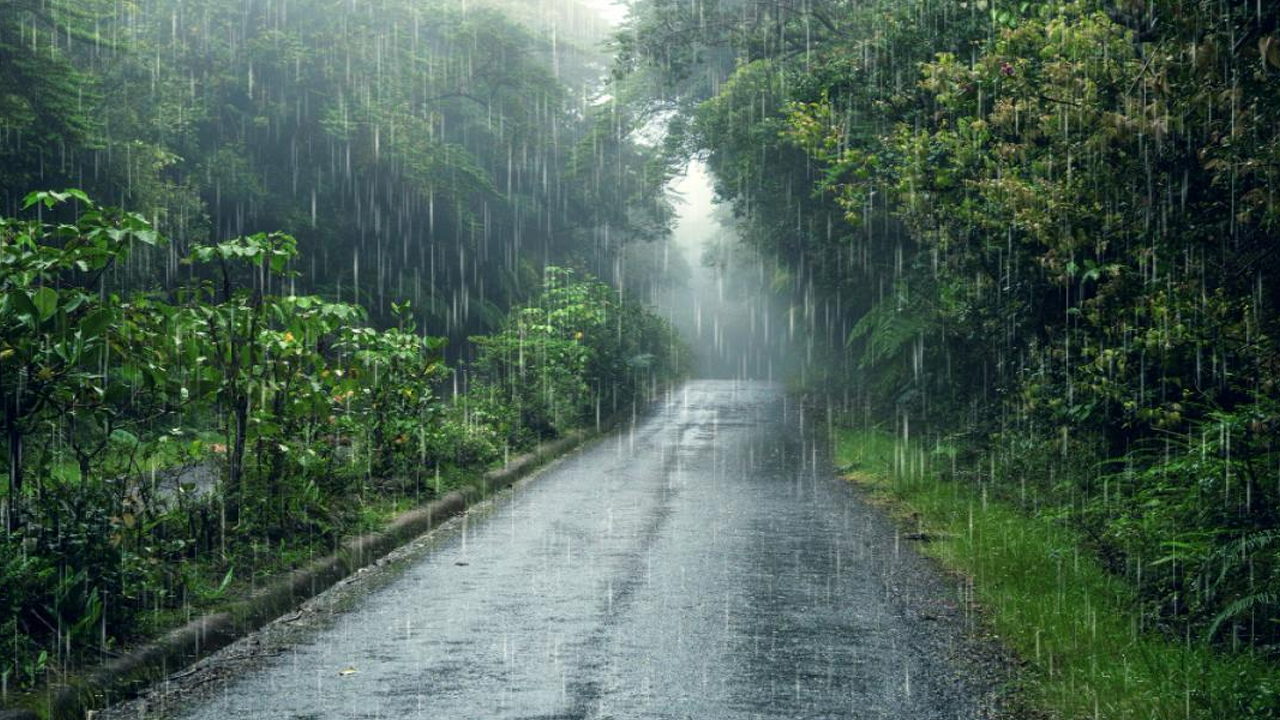 Monsoon Alert: ఉరుములు, మెరుపులతో భారీ వర్షం..ఈ జిల్లాలు తస్మాత్ జాగ్రత్త
