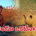 BJP vs Prakash Raj: ప్రకాష్ రాజ్.. బురదలో పంది? బీజేపీ షాకింగ్ పోస్ట్