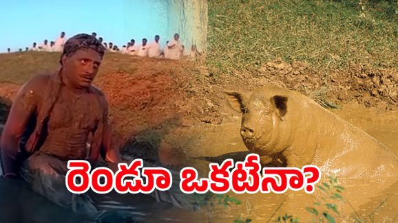 BJP vs Prakash Raj: ప్రకాష్ రాజ్.. బురదలో పంది? బీజేపీ షాకింగ్ పోస్ట్