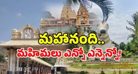 Covid 19: కోవిడ్ కొత్త వేరియంట్ నుంచి రక్షణ.. చికెన్ తింటే సరిపోతుందా? నిజం ఏమిటి?