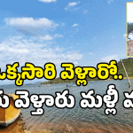 Vizag Colony: మీ చేతిలో రూ. 500 ఉందా? ఈ టూరిస్ట్ స్పాట్ మిస్ కావద్దు