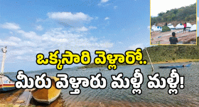 Vizag Colony: మీ చేతిలో రూ. 500 ఉందా? ఈ టూరిస్ట్ స్పాట్ మిస్ కావద్దు