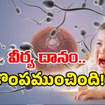 Sperm Donor: వీర్య దానం.. రిస్కులో 67 మంది పిల్లల ప్రాణాలు, అసలు ఏమైందంటే?