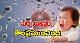 Puri Jagannath: పూరి సినిమాలో క్యామియో పాత్రలో టాలీవుడ్ స్టార్ హీరో...ఇది సాధ్యం అయ్యేనా?