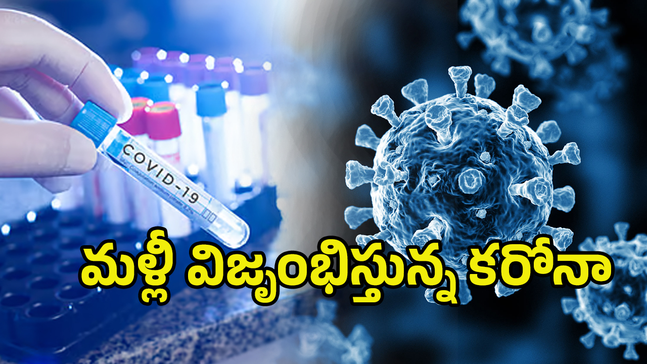 New Corona Cases AP: మూడో కేసు.. ఏపీలో కరోనా కలకలం