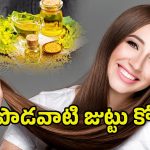 Mustard Oil For Hair: ఆవాల నూనెతో ఇలా చేయండి.. మీ జుట్టు అస్సలు ఊడిపోదు