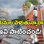 Tirumala – Alipiri: అలిపిరి మెట్ల మార్గంలో మీరు వెళుతున్నారా? టీటీడీ కొత్త హెచ్చరికలేంటో తెలుసుకోండి!