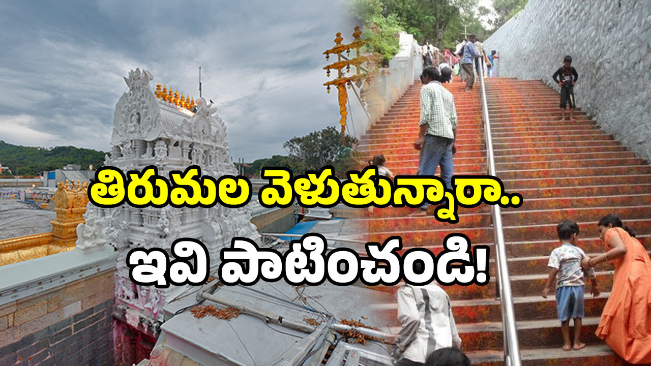 Tirumala – Alipiri: అలిపిరి మెట్ల మార్గంలో మీరు వెళుతున్నారా? టీటీడీ కొత్త హెచ్చరికలేంటో తెలుసుకోండి!