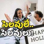 AP Govt Employees: ఏపీ ఉద్యోగులకు గుడ్ న్యూస్.. సెలవులు పెంపు.. ప్రకటించిన ప్రభుత్వం