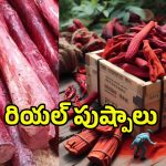 Red Sandal Smuggling: రియల్ పుష్పాలు.. ఎన్నివేల కోట్ల స్కాం అంటే.!