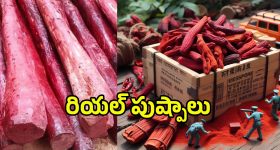 Red Sandal Smuggling: రియల్ పుష్పాలు.. ఎన్నివేల కోట్ల స్కాం అంటే.!