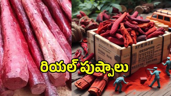 Red Sandal Smuggling: రియల్ పుష్పాలు.. ఎన్నివేల కోట్ల స్కాం అంటే.!