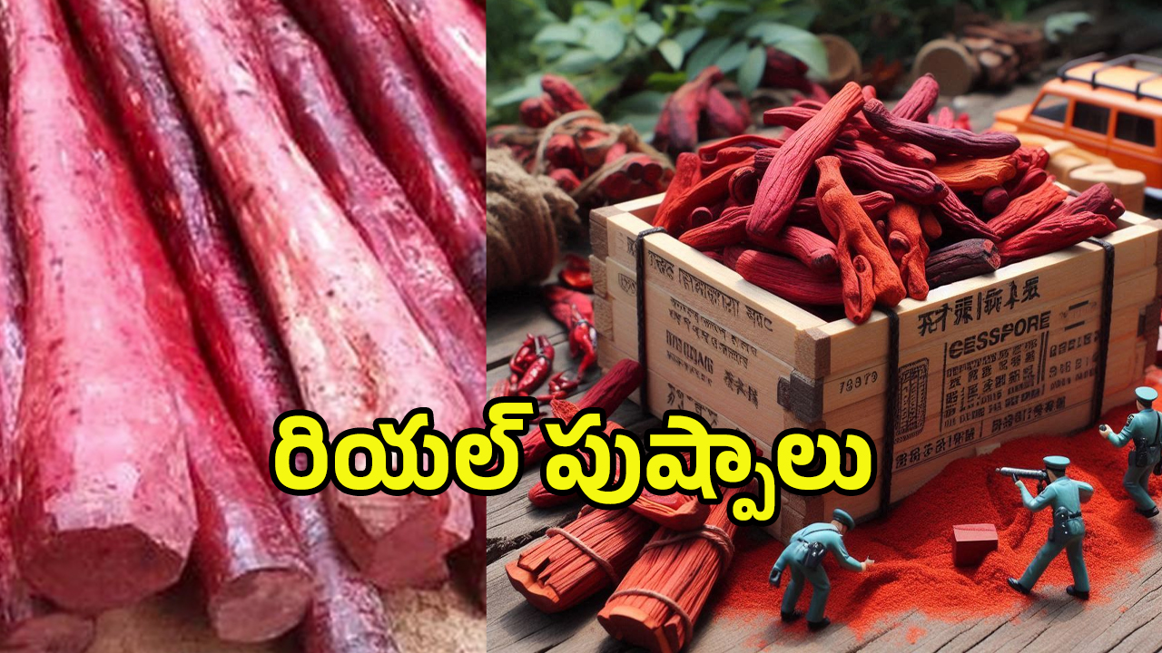 Red Sandal Smuggling: రియల్ పుష్పాలు.. ఎన్నివేల కోట్ల స్కాం అంటే.!