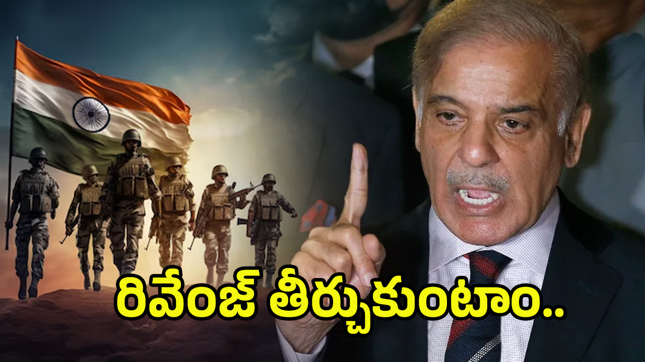 PM Shehbaz Sharif: రివేంజ్ తీర్చుకుంటాం.. భారత్‌ మెరుపుదాడులపై స్పందించిన పాక్‌ ప్రధాని