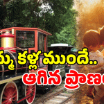 Train Mishap: రైలు ఎక్కే చిన్నారి.. అక్కడే ప్రాణం వదిలి.. అసలేం జరిగిందంటే?