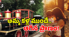 IPL 2025 SCHEDULE : ఐపీఎల్ 2025 రీ -స్టార్ట్ డేట్ ఫిక్స్.. మే 30న ఫైనల్ !