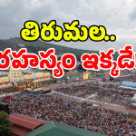 Tirumala Update: తిరుమలలో ఇక్కడంతా ఫ్రీ.. ఫ్రీ.. ఈ ప్లేస్ మిస్ కావద్దు!
