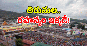 Tirumala Update: తిరుమలలో ఇక్కడంతా ఫ్రీ.. ఫ్రీ.. ఈ ప్లేస్ మిస్ కావద్దు!