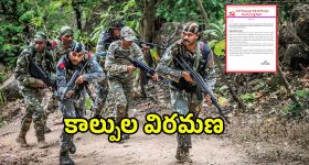 AP Politics: వర్మకి ఎమ్మెల్సీ? మంత్రిగా నాగబాబు..