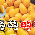 Mangoes: మామిడికి డేంజర్ బెల్.. వీళ్లు మనుషులేనా? మరీ ఇలా చేస్తారా?