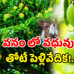 Mancherial district: మామిడి చెట్లకు పెళ్లి.. రైతన్న స్టైల్ లో రచ్చ!