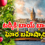 Ban Turkey: టర్కీకి బిగ్ షాక్.. ఇండియన్స్ నుండి ఝట్కా ఓ రేంజ్‌లో..
