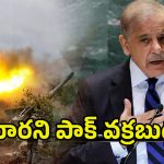 Pakistan PM Shehbaz: కుక్కతోక వంకర.. భారత్‌తో యుద్ధంలో మాదే విజయం-పాక్ ప్రధాని