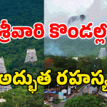 Tirumala Hidden Secrets: తిరుమల శ్రీవారి గిరుల్లో 66 కోట్ల తీర్థాలు? అసలు రహస్యం ఇదే!
