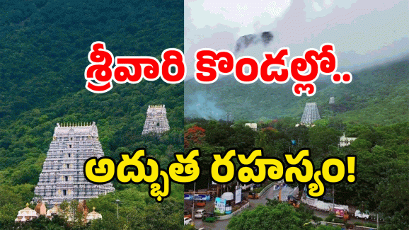 Tirumala Hidden Secrets: తిరుమల శ్రీవారి గిరుల్లో 66 కోట్ల తీర్థాలు? అసలు రహస్యం ఇదే!