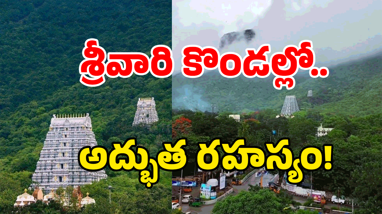 Tirumala Hidden Secrets: తిరుమల శ్రీవారి గిరుల్లో 66 కోట్ల తీర్థాలు? అసలు రహస్యం ఇదే!