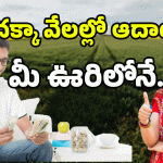 Money Earning Tips: పెట్టుబడి జీరో.. అంబానీ అయ్యే ఛాన్స్.. మీరు ట్రై చేయండి