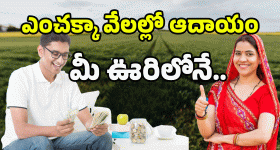 Money Earning Tips: పెట్టుబడి జీరో.. అంబానీ అయ్యే ఛాన్స్.. మీరు ట్రై చేయండి