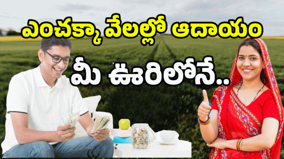 Money Earning Tips: పెట్టుబడి జీరో.. అంబానీ అయ్యే ఛాన్స్.. మీరు ట్రై చేయండి
