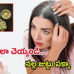 White Hair Tips: చిన్న వయసులోనే తెల్ల వెంట్రుకలా.. ఒక్కసారి ఇలా ట్రై చేయండి