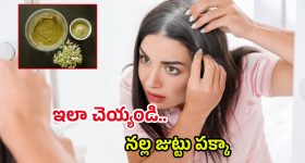 Kesari Chapter 2: బాలీవుడ్ లో దుమ్మురేపిన కేసరి చాప్టర్ 2 తెలుగులో వచ్చేస్తుంది..  రిలీజ్ డేట్ ఎప్పుడంటే.!?