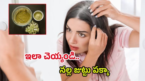 White Hair Tips: చిన్న వయసులోనే తెల్ల వెంట్రుకలా.. ఒక్కసారి ఇలా ట్రై చేయండి