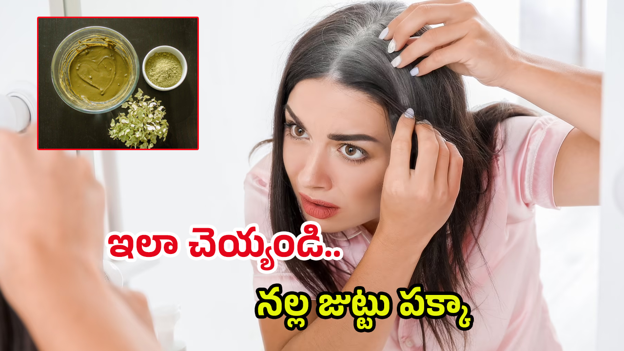 White Hair Tips: చిన్న వయసులోనే తెల్ల వెంట్రుకలా.. ఒక్కసారి ఇలా ట్రై చేయండి