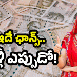 AP Self-employment Loans: ఏపీలో డబ్బుల పండగ.. ఈ అర్హతలు తప్పనిసరి..