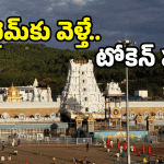 Tirumala Tickets: శ్రీవారి దర్శన టికెట్ బుక్ చేసుకోలేదా? ఈ టైమ్ కి ఇక్కడికి వెళ్తే సరి..