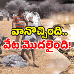 Diamonds In Kurnool: ఏపీలో వజ్రాల వేట ఫుల్.. విలువ కోట్లలోనే? తెగ వేటాడుతున్నారు!