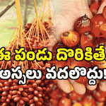 Toddy Palm Fruit: ఈ సీజన్ లో 3 పండ్లు తినండి.. మీ అందం పెంచుకోండి!