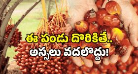 Suma Adda: గేమ్ పేరిట ఆ ఆటలేంటి సుమా.. పాపం భయంతో స్టేజ్ దూకేసిన హీరోయిన్..!