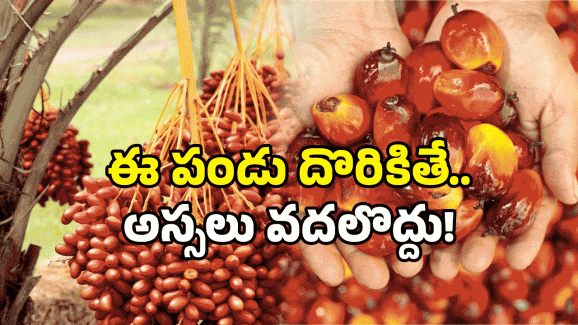 Toddy Palm Fruit: ఈ సీజన్ లో 3 పండ్లు తినండి.. మీ అందం పెంచుకోండి!