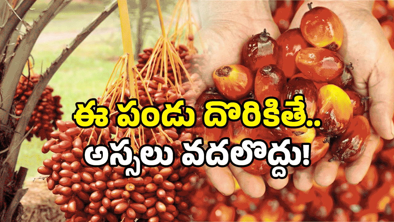 Toddy Palm Fruit: ఈ సీజన్ లో 3 పండ్లు తినండి.. మీ అందం పెంచుకోండి!
