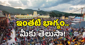 The Tourist family : తెలుగు రైట్స్ కోసం పోటీపడుతున్న నిర్మాణ సంస్థలు.. కానీ.. ఝలక్ తప్పలేదు