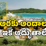 Araku Valley: అరకు మారబోతోంది.. పెద్ద ప్లాన్ వేసిన ప్రభుత్వం..
