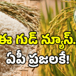 Fine Rice Distribution: జూన్ 12నుంచి బియ్యం మారుతోంది..! చంద్రబాబు సర్కార్ సంచలన నిర్ణయం