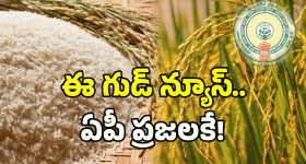 Fine Rice Distribution: జూన్ 12నుంచి బియ్యం మారుతోంది..! చంద్రబాబు సర్కార్ సంచలన నిర్ణయం