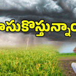 Heavy Rain Alert: రైతన్నలకు వర్షాల గిఫ్ట్.. నైరుతి వానలు ముందే.. IMD ప్రకటన..