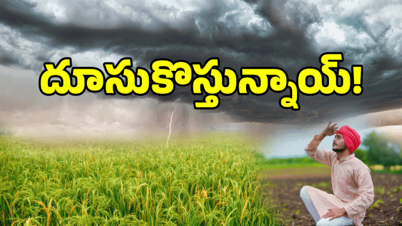 Heavy Rain Alert: రైతన్నలకు వర్షాల గిఫ్ట్.. నైరుతి వానలు ముందే.. IMD ప్రకటన..